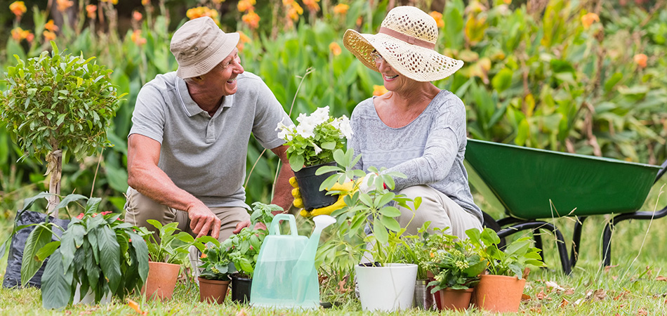 A Fresh Approach to Wellness for Seniors